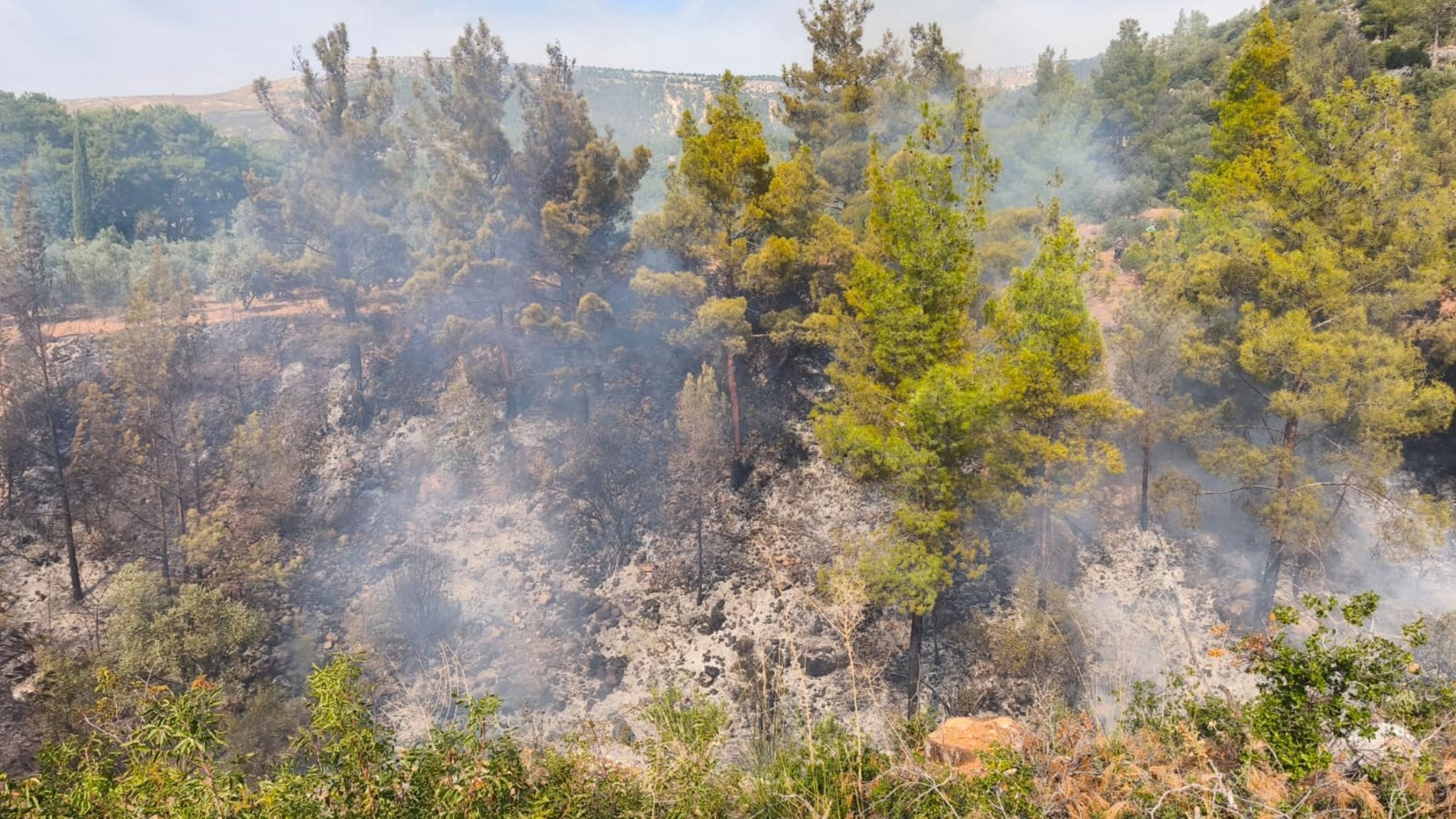 Firefighters work to control a spreading blaze, Mersin, Türkiye, Nov. 3, 2025. (AA Photo)