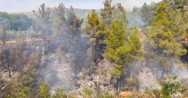 Firefighters work to control a spreading blaze, Mersin, Türkiye, Nov. 3, 2025. (AA Photo)