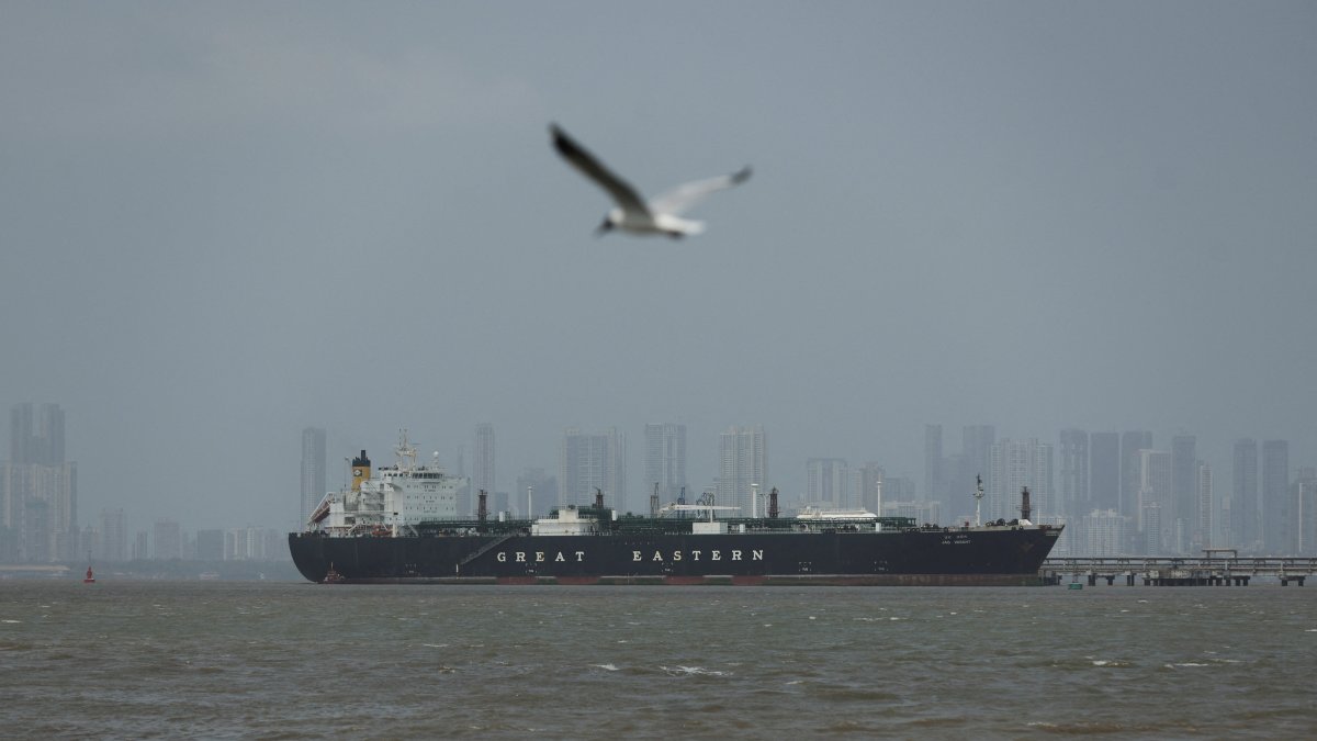 A bird flies near the Jag Vasant vessel transferring LPG at a port after transiting the Strait of Hormuz in Mumbai, India, April 1, 2026. (Reuters File Photo)