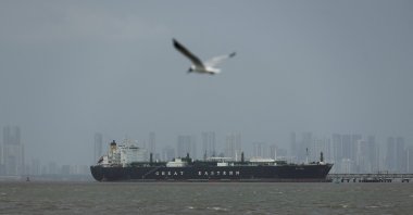 A bird flies near the Jag Vasant vessel transferring LPG at a port after transiting the Strait of Hormuz in Mumbai, India, April 1, 2026. (Reuters File Photo)