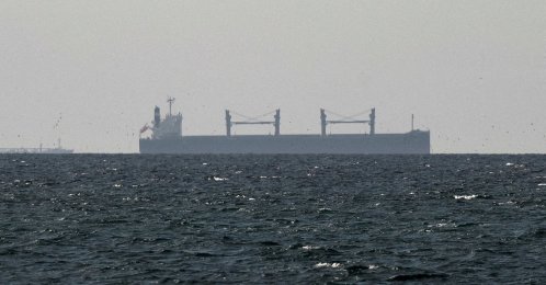 A cargo ship in the Gulf, near the Strait of Hormuz, as seen from northern Ras al-Khaimah, near the border with Oman’s Musandam governance, amid the U.S.-Israeli conflict with Iran, in the United Arab Emirates, March 11, 2026. (Reuters Photo)