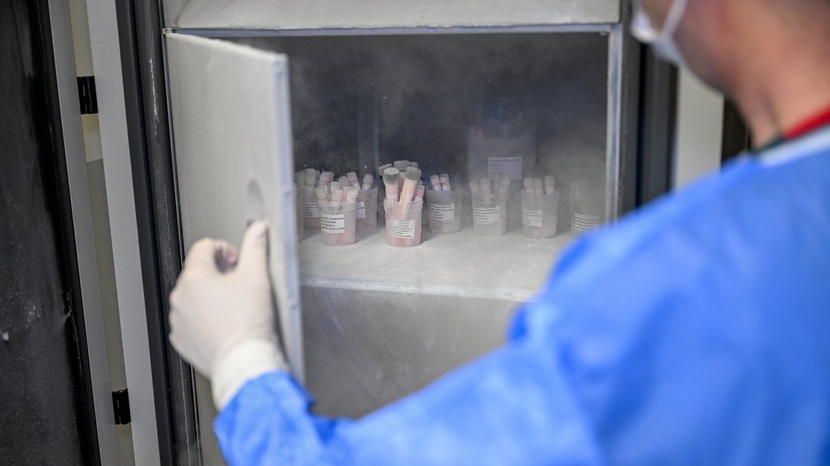 Stored human skin and tissues are preserved at the high-tech cold storage, Adana, Türkiye, March 18, 2026. (AA Photo)
