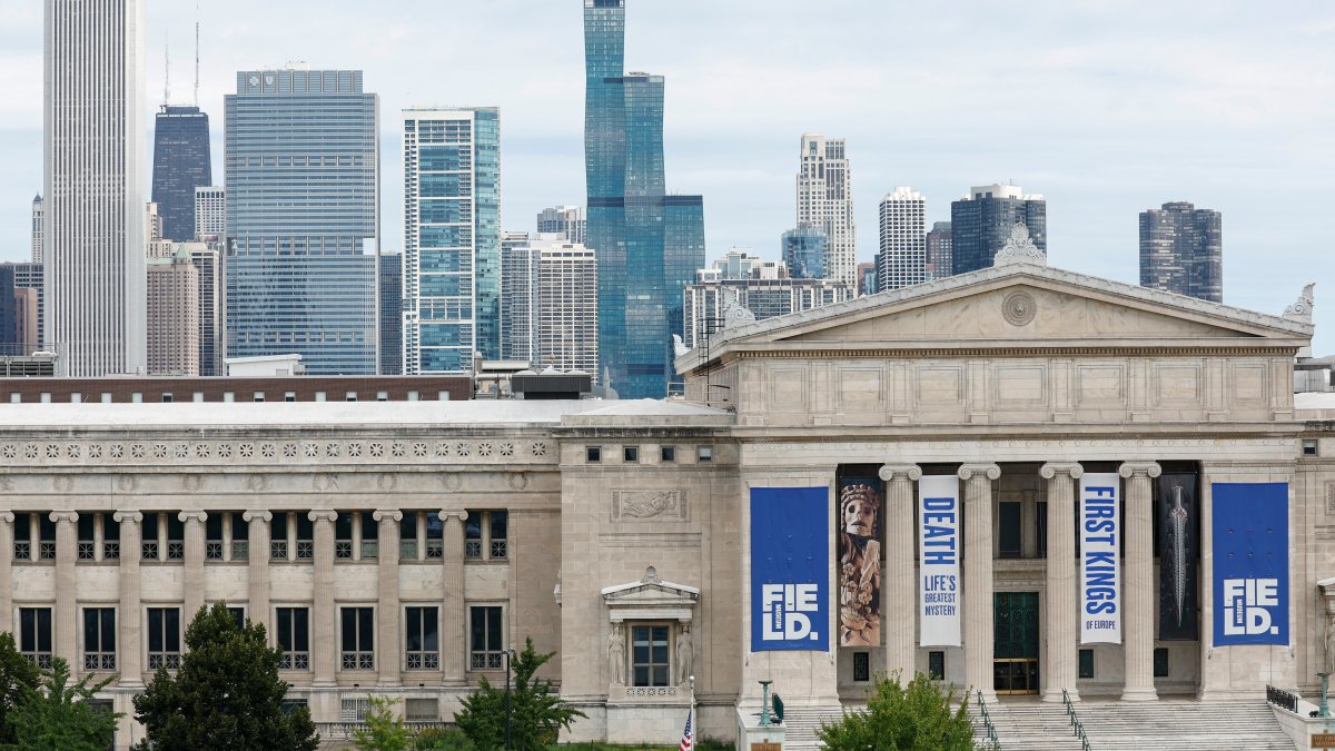 The Field Museum, a natural history institution, is seen from Soldier Field before an NFL game, Chicago, U.S., Aug. 12, 2023. (AP Photo)