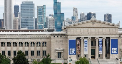 The Field Museum, a natural history institution, is seen from Soldier Field before an NFL game, Chicago, U.S., Aug. 12, 2023. (AP Photo)