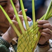 A Christian worshipper arranges a palm frond during mass at the Cave Church at the Coptic Orthodox Monastery of Simon the Tanner in the eastern hillside on Orthodox Palm Sunday, Mokkatam district, Cairo, Egypt, April 5, 2026. (AFP Photo)