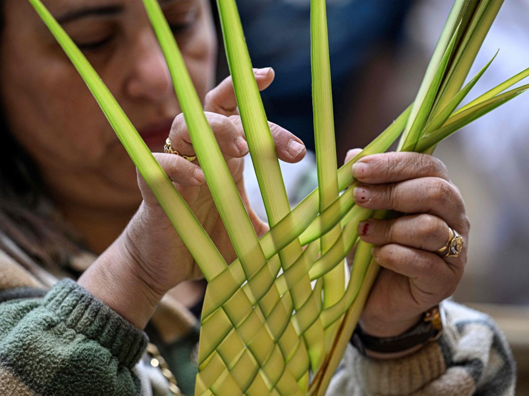 A Christian worshipper arranges a palm frond during mass at the Cave Church at the Coptic Orthodox Monastery of Simon the Tanner in the eastern hillside on Orthodox Palm Sunday, Mokkatam district, Cairo, Egypt, April 5, 2026. (AFP Photo)