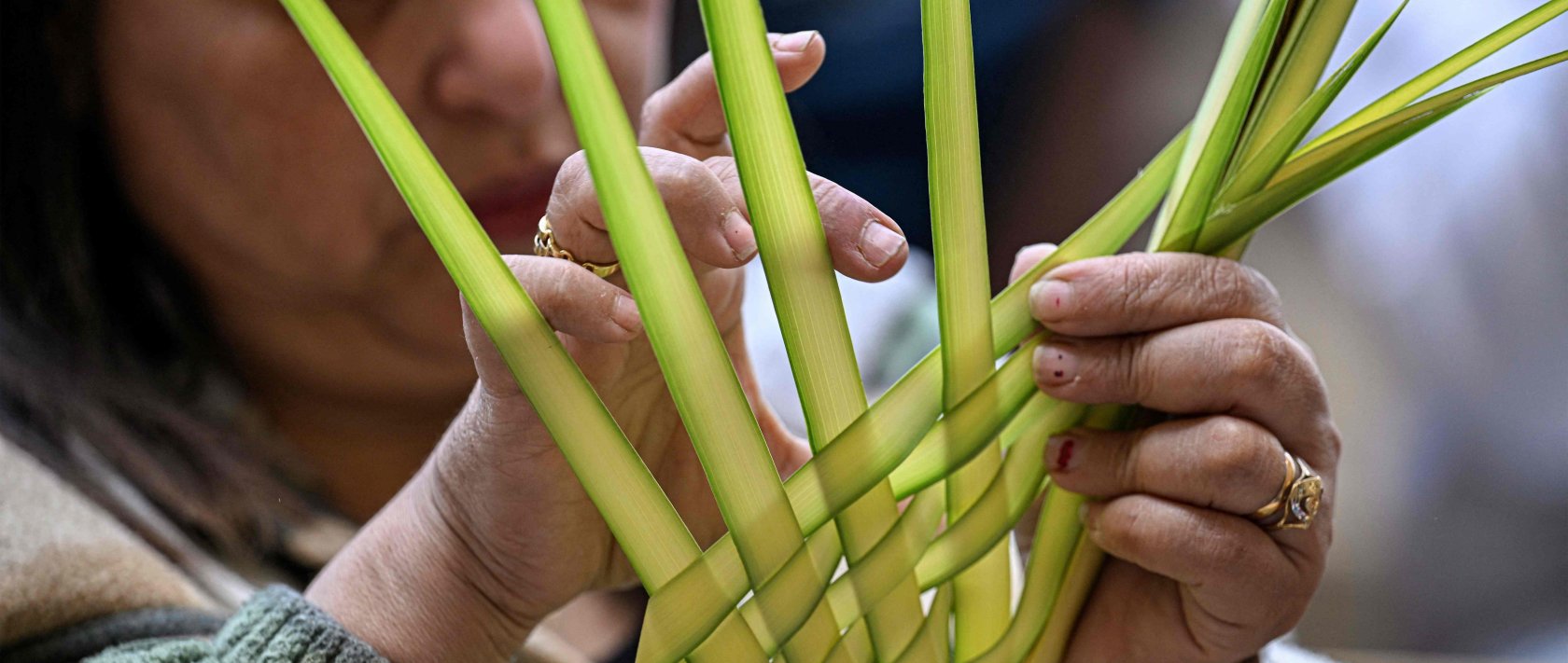A Christian worshipper arranges a palm frond during mass at the Cave Church at the Coptic Orthodox Monastery of Simon the Tanner in the eastern hillside on Orthodox Palm Sunday, Mokkatam district, Cairo, Egypt, April 5, 2026. (AFP Photo)