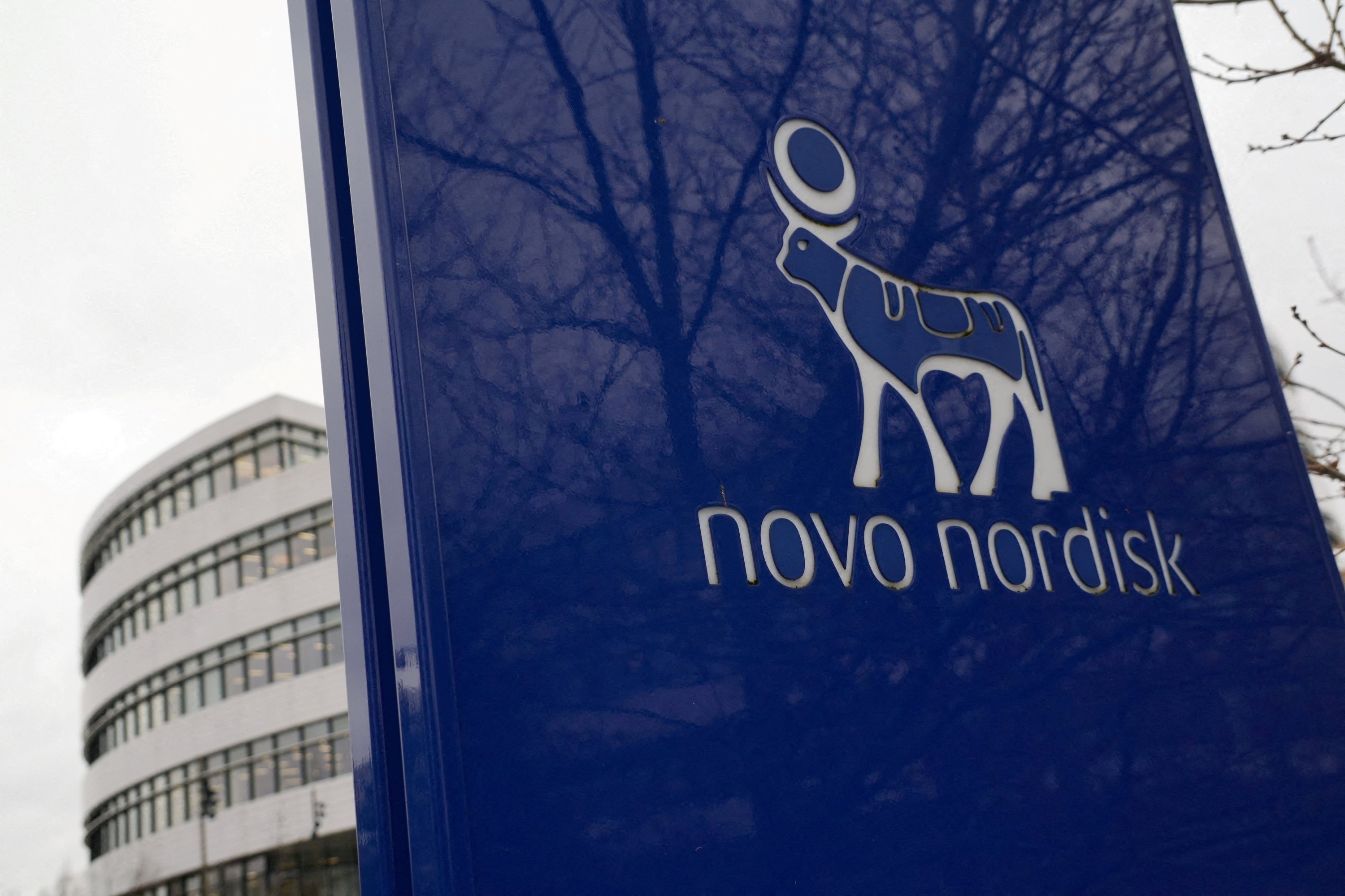 Ozempic-maker Novo Nordisk, OpenAI announce strategic partnership