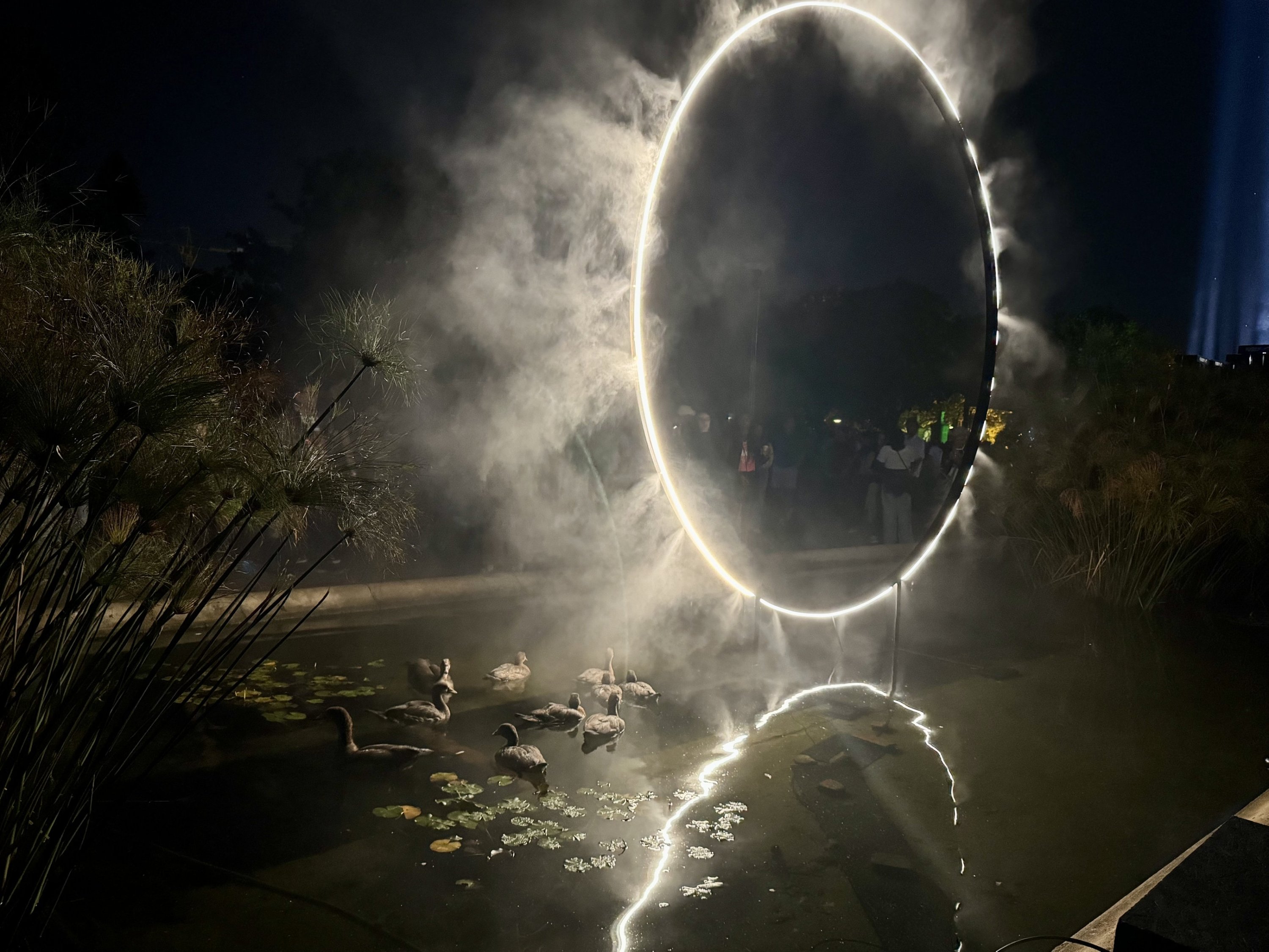 ‘Lumenocity’ lights up Cape Town: 1st large-scale light art festival