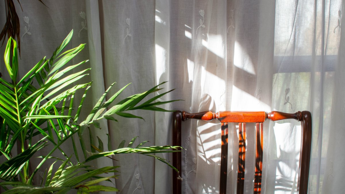 The expert stressed the importance of elements in the home that connect with nature, emphasizing that the “biophilic design” approach should not be seen as merely decorative. (Getty Images Photo)