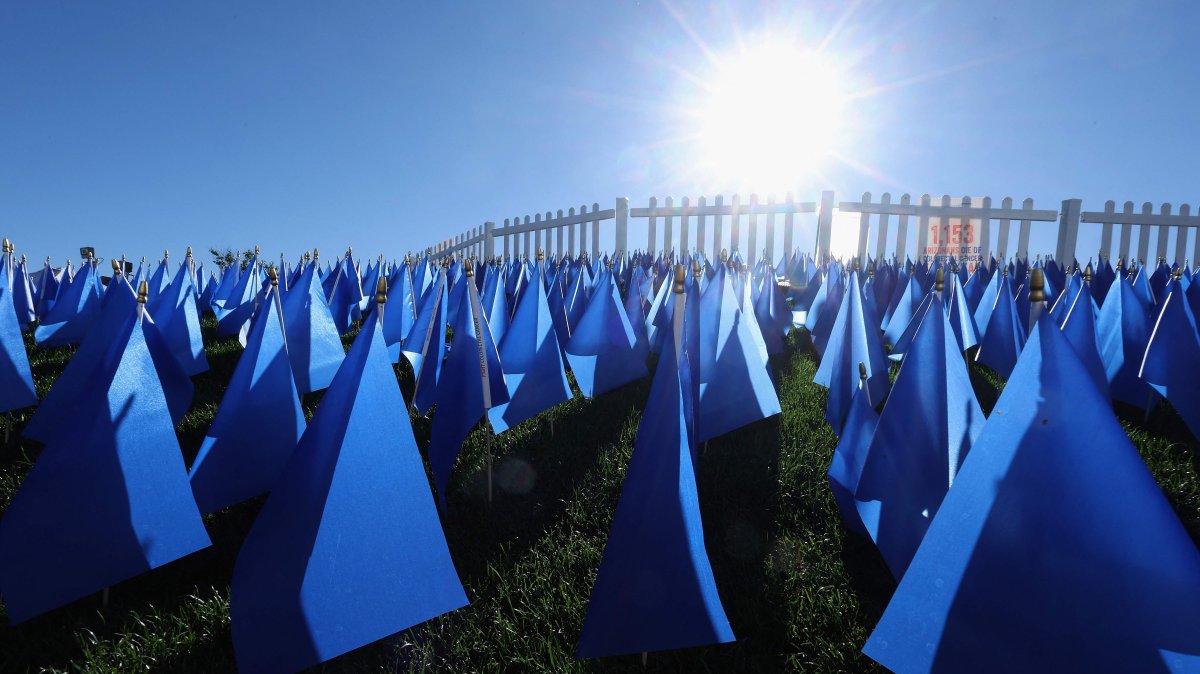 3,330 blue flags are displayed to honor those who lost their life to colon cancer during the second round of the Cologuard Classic 2026 at La Paloma Country Club, Tucson, Arizona, March 21, 2026 in Tucson, Arizona. (AFP File Photo)