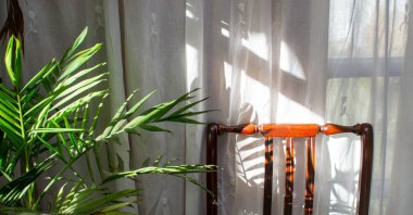 The expert stressed the importance of elements in the home that connect with nature, emphasizing that the “biophilic design” approach should not be seen as merely decorative. (Getty Images Photo)