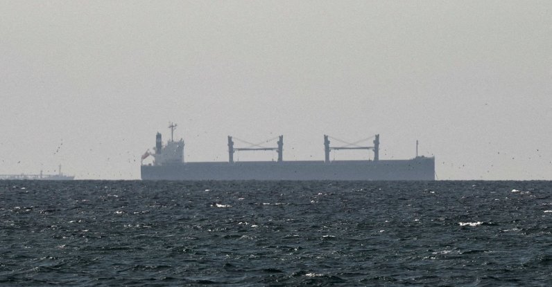 A cargo ship in the Gulf, near the Strait of Hormuz, as seen from northern Ras al-Khaimah, near the border with Oman’s Musandam governance, amid the U.S.-Israeli conflict with Iran, United Arab Emirates, March 11, 2026. (Reuters Photo)