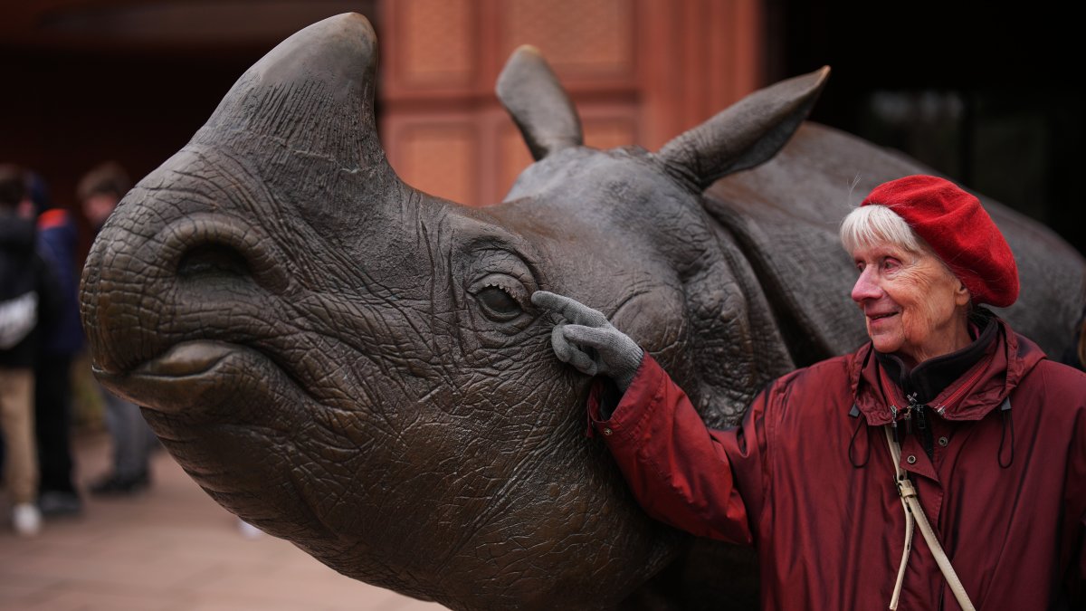 Monika Jansen, 85, touches a sculpture of a rhino as she takes part in a guided tour for people with dementia organized by Malteser Deutschland, part of the international Catholic aid organization Malteser Order of Malta, at the Zoo in Berlin, Germany, March 26, 2026. (AP Photo)