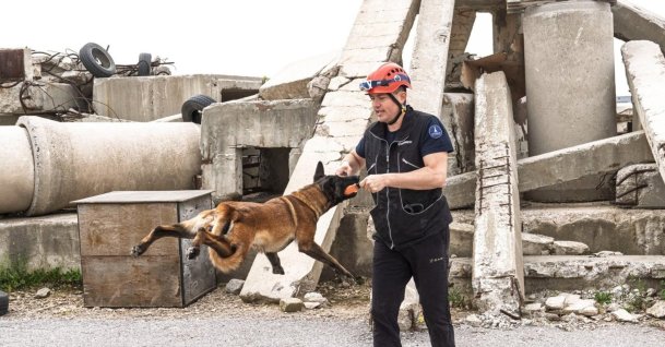 "Momo," undergoes search and rescue training as she learns to detect human scent in disaster scenarios, Izmir, Türkiye, April 27, 2026. (AA Photo)