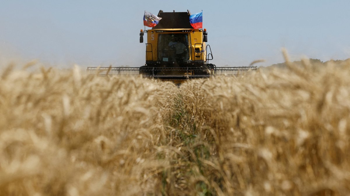 A farmer operates a combine during the start of the wheat harvesting campaign in a field near the town of Starobilsk (Starobelsk) in the Luhansk Region, a Russian-controlled area of Ukraine, July 9, 2025. (Reuters File Photo)
