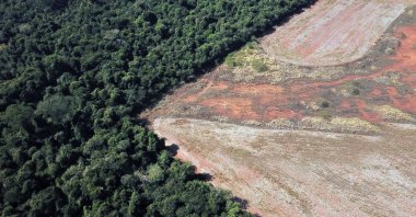 An aerial view of lush green rainforest meeting stark brown deforested land shows the environmental impact of deforestation. (Shutterstock Photo)