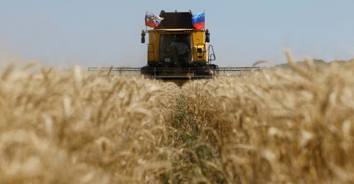 A farmer operates a combine during the start of the wheat harvesting campaign in a field near the town of Starobilsk (Starobelsk) in the Luhansk Region, a Russian-controlled area of Ukraine, July 9, 2025. (Reuters File Photo)