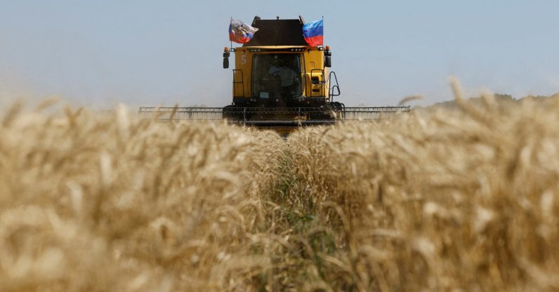 A farmer operates a combine during the start of the wheat harvesting campaign in a field near the town of Starobilsk (Starobelsk) in the Luhansk Region, a Russian-controlled area of Ukraine, July 9, 2025. (Reuters File Photo)