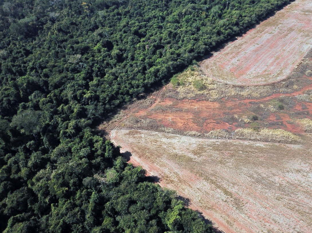An aerial view of lush green rainforest meeting stark brown deforested land shows the environmental impact of deforestation. (Shutterstock Photo)
