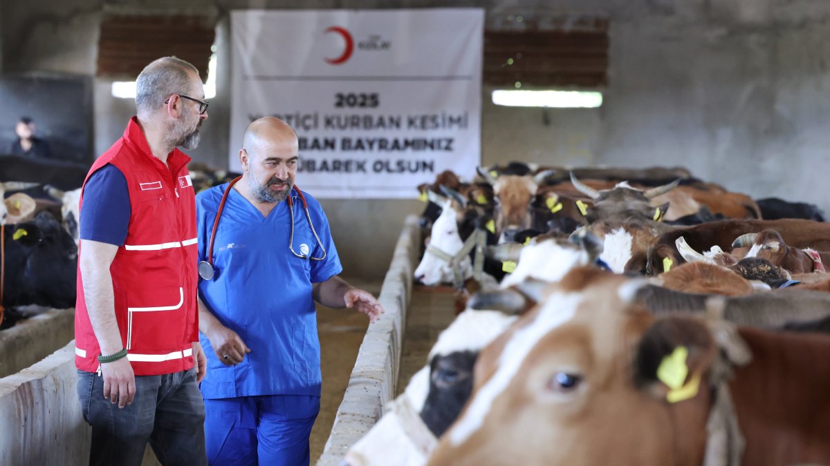 Kızılay teams inspect livestock as part of preparations for the 2025 proxy sacrifice campaign ahead of Eid al-Adha, Türkiye, June 4, 2025. (Courtesy of Kızılay)