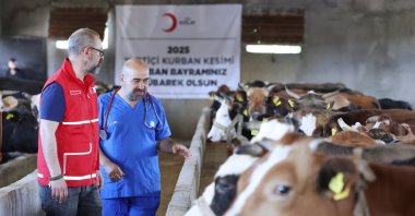 Kızılay teams inspect livestock as part of preparations for the 2025 proxy sacrifice campaign ahead of Eid al-Adha, Türkiye, June 4, 2025. (Courtesy of Kızılay)