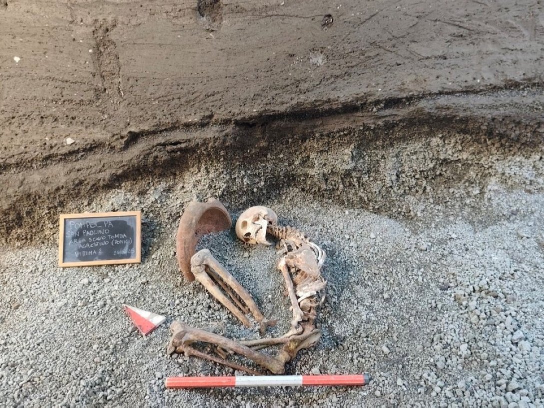 This image released by the Italian Culture Ministry shows a victim of the A.D. 79 eruption of Mount Vesuvius, in the Pompeii archaeological area near Naples, Italy, April 27, 2026. (Italian Culture Ministry via AP)
