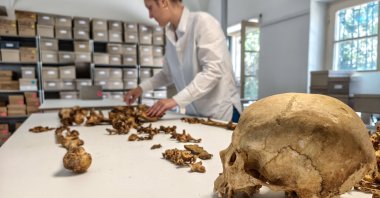 A researcher at the State Collection for Anthropology Munich (SAM) examines the skeleton of a woman who lived between 510 and 560 A.D. and was buried at the village of Altheim, Germany, in this undated photograph taken in Munich, Germany and released on April 29, 2026. (Reuters Photo)