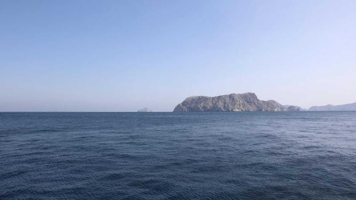 Iran reportedly hits US vessel with 2 missiles near Strait of Hormuz