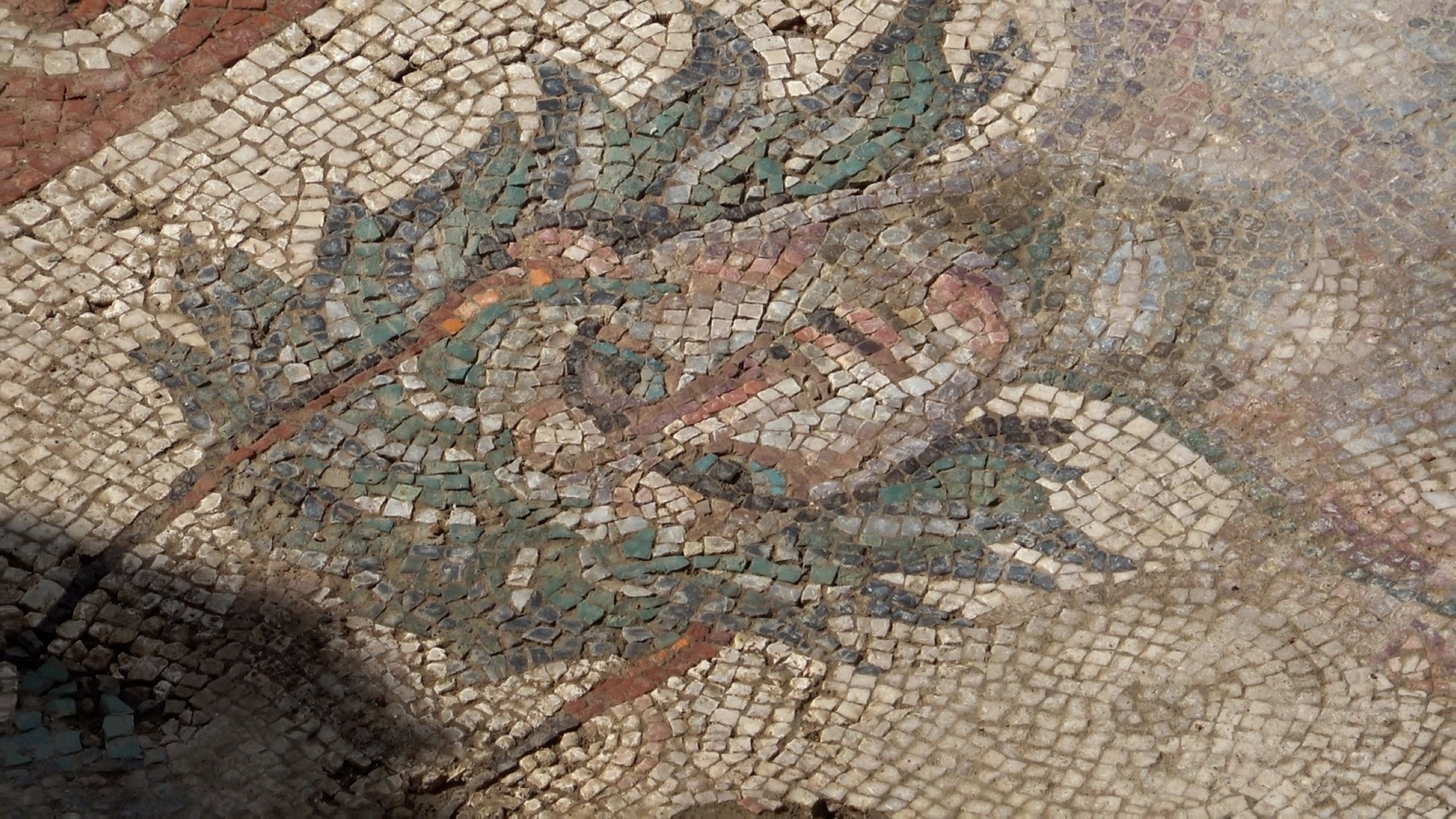 Ancient mosaic resembling the famed Gypsy Girl Mosaic is discovered in Zile, Tokat, May 5, 2026. (DHA Photo)