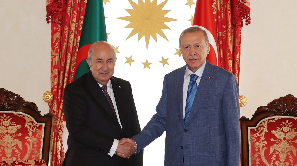President Recep Tayyip Erdoğan meets with his Algerian counterpart Abdelmadjid Tebboune, in Istanbul, Türkiye, July 22, 2023. (AA File Photo)