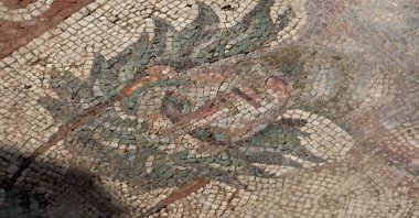 Ancient mosaic resembling the famed Gypsy Girl Mosaic is discovered in Zile, Tokat, May 5, 2026. (DHA Photo)