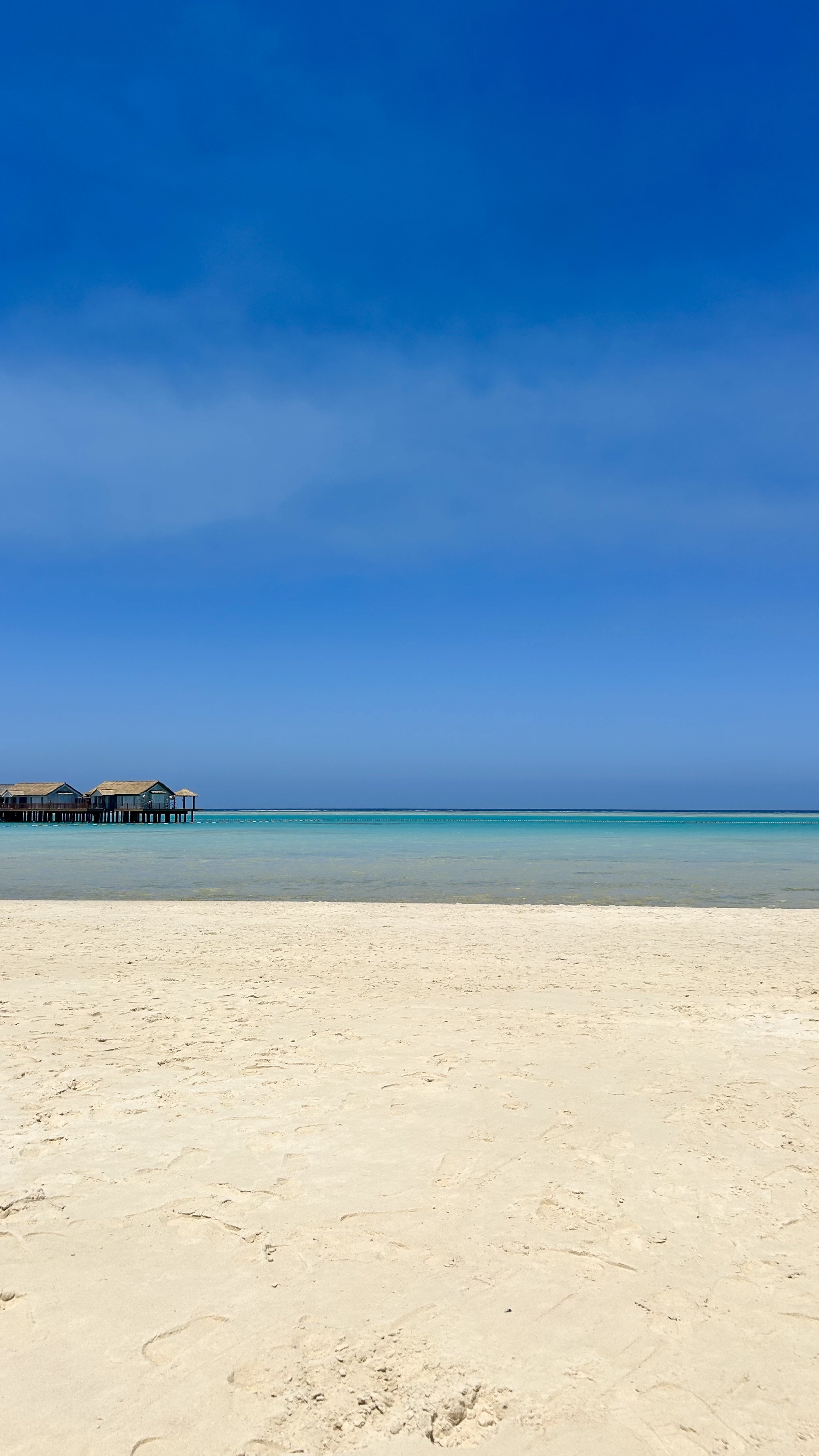 Journey to Red Sea coast, where Jeddah offers the 'unexpected' | Daily ...