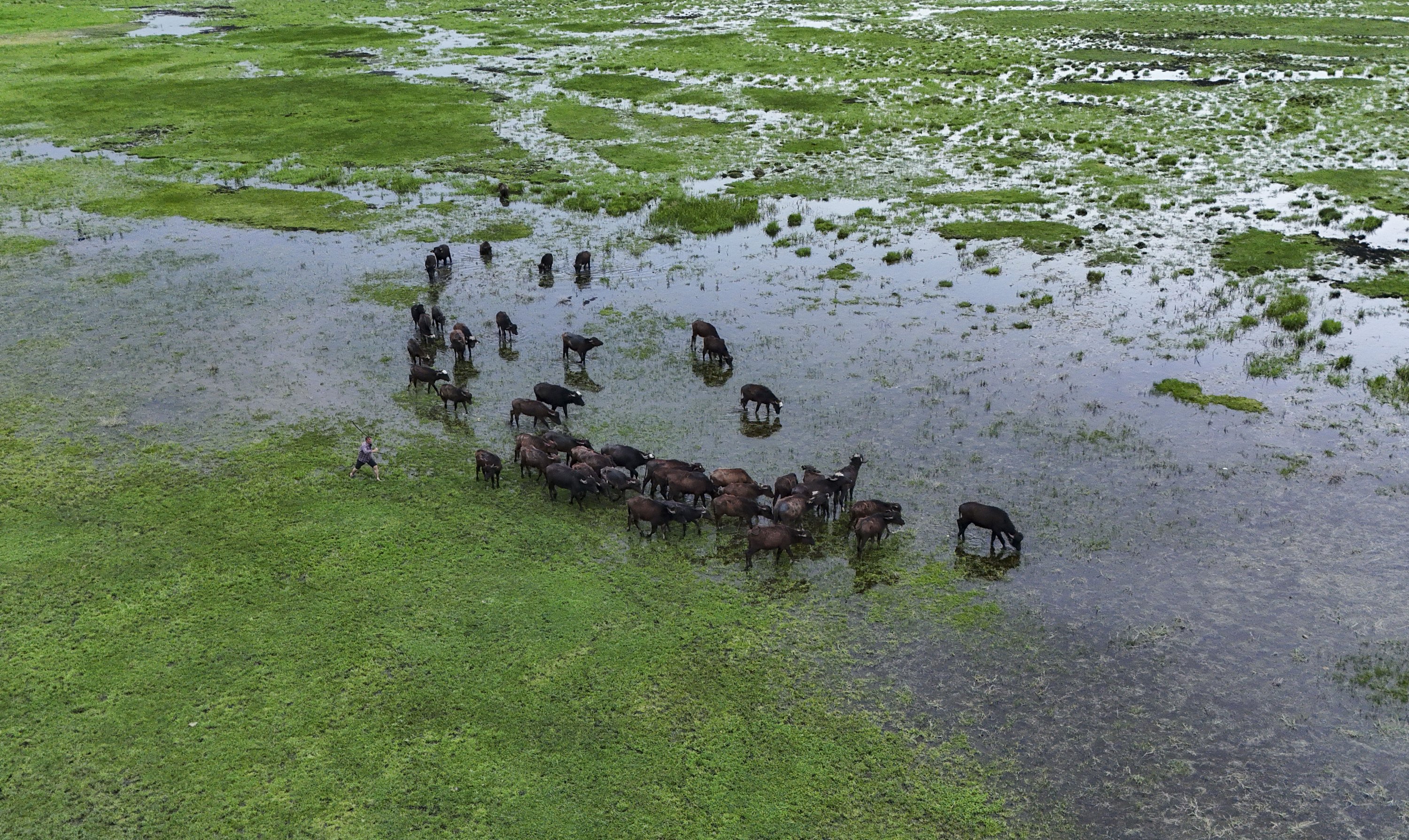 Melting snow, spring rains transform Muş pastures to massive wetlands
