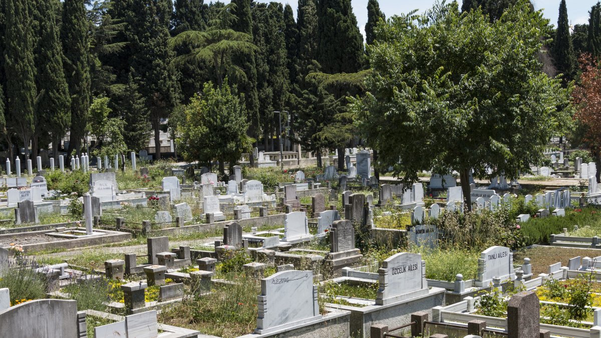 A view of the Edirnekapı Martyrs' Cemetery in the Eyüpsultan district, Istanbul, Türkiye, June 11, 2017. (Shutterstock Photo)