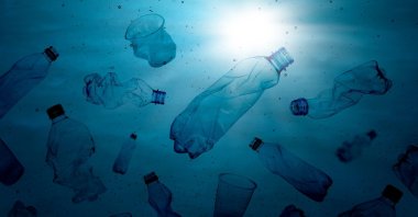 "Pollution harms marine life throughout the food chain, from plankton to top predators." (Shutterstock Photo)