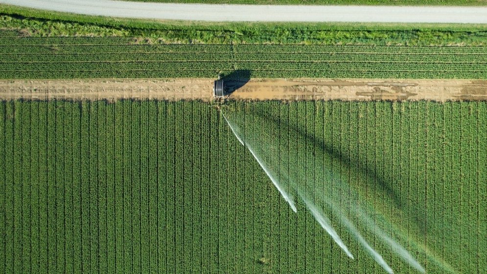 COP31 offers key opportunity to address agri-food systems: FAO