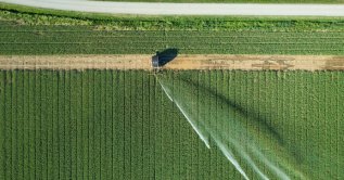 A rotary sprinkler irrigating a green crop field is seen in this undated stock photo. (Shutterstock Photo)