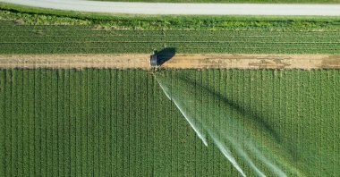 A rotary sprinkler irrigating a green crop field is seen in this undated stock photo. (Shutterstock Photo)
