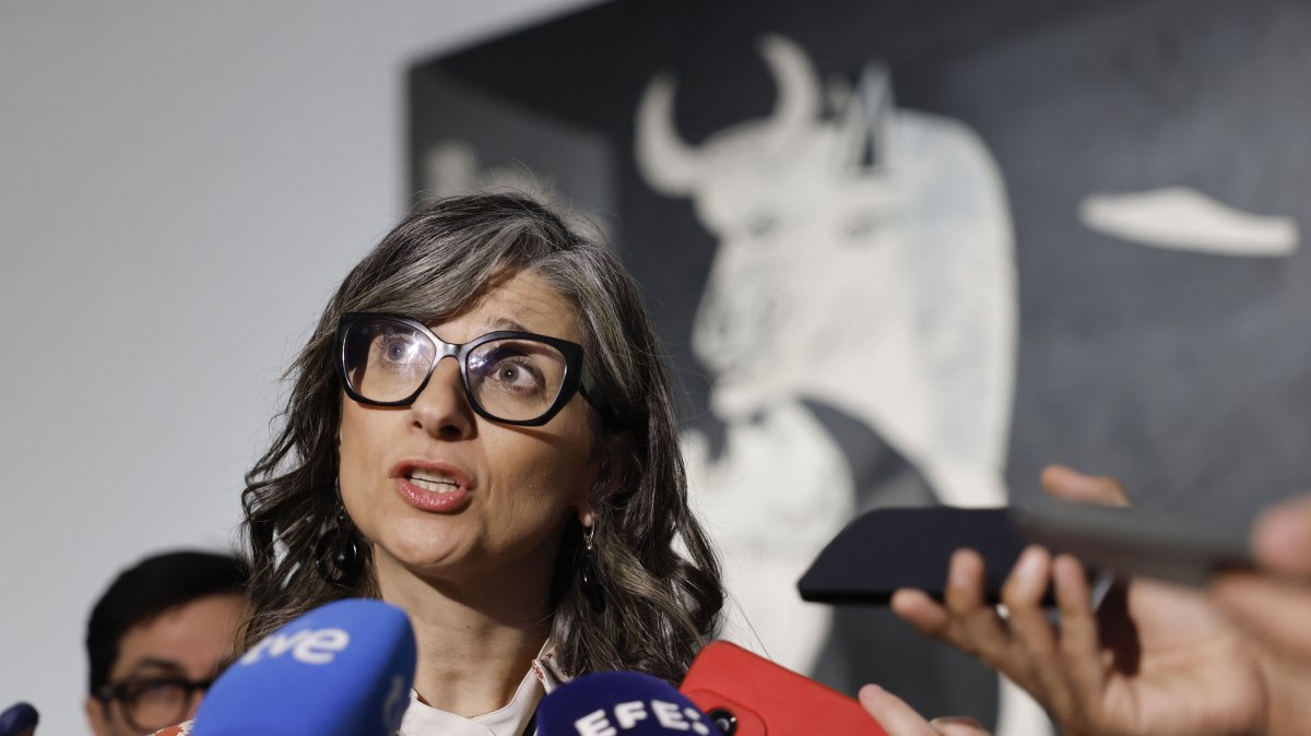 Francesca Albanese, the United Nations Special Rapporteur on the occupied Palestinian territories, speaks to the media while she poses in front of &amp;#039;Guernica&amp;#039; during her visit to Picasso’s masterpiece at the el Reina Sofia Museum in Madrid, Spain, May 6, 2026. (EPA Photo)