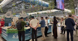 Visitors are seen close to a booth during the KazanForum 2026, Kazan, Russia, May 13, 2026. (AA Photo)