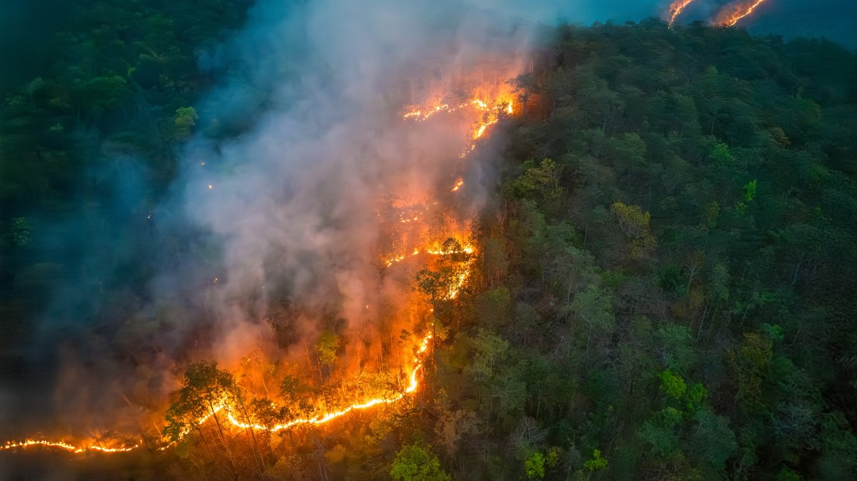 An aerial view of wildfires releasing carbon dioxide emissions and other greenhouse gases. (Shutterstock Photo)