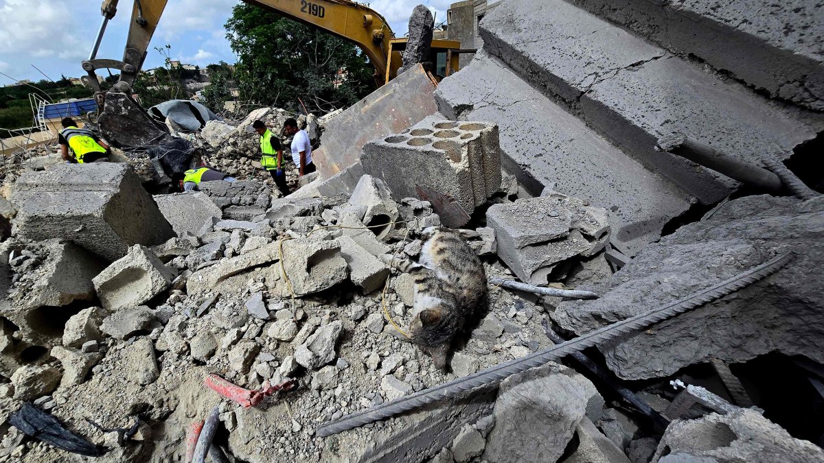 A cat lies dead as Lebanese civil defense workers search through the rubble in the village of Deir Qanun al-Nahr, southern Lebanon, May 20, 2026. (AFP Photo)