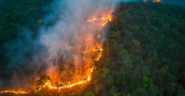 An aerial view of wildfires releasing carbon dioxide emissions and other greenhouse gases. (Shutterstock Photo)