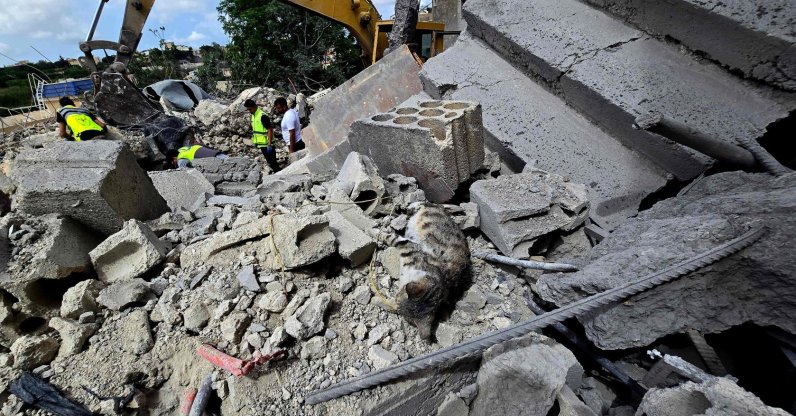 A cat lies dead as Lebanese civil defense workers search through the rubble in the village of Deir Qanun al-Nahr, southern Lebanon, May 20, 2026. (AFP Photo)