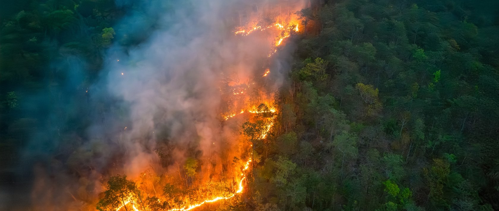An aerial view of wildfires releasing carbon dioxide emissions and other greenhouse gases. (Shutterstock Photo)