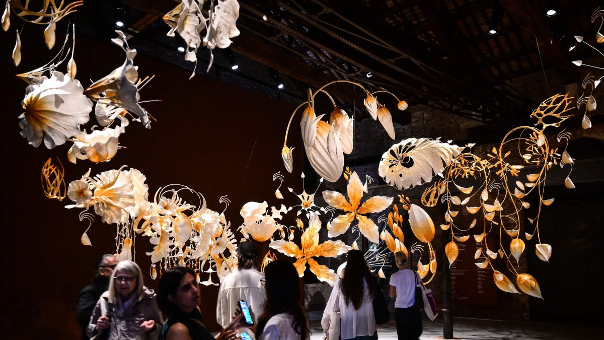 A visitor views “Under the same sky” by Indian artist Ranjani Shettar, at the Indian pavilion during the pre-opening of the 61st Venice Art Biennale, Venice, Italy, May 6, 2026. (AFP Photo)
