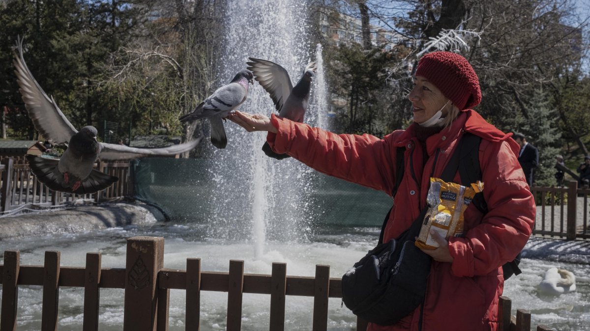 A visitor feeds pigeons in a park on a sunny day, Ankara, Türkiye, March 31, 2023. (Getty Images Photo)
