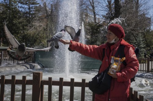 A visitor feeds pigeons in a park on a sunny day, Ankara, Türkiye, March 31, 2023. (Getty Images Photo)