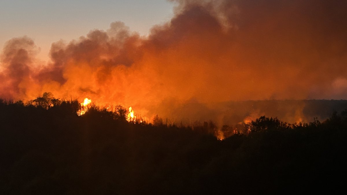 A forest fire burns in a wooded area in Beykoz as firefighters continue efforts to contain the blaze, Istanbul, Türkiye, April 22, 2026. (IHA Photo)